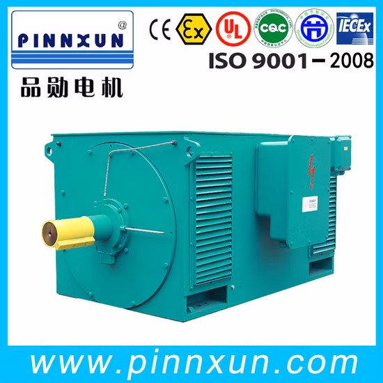 Asynchronous Three Phase Electric High Voltage Motor for Cement Plant