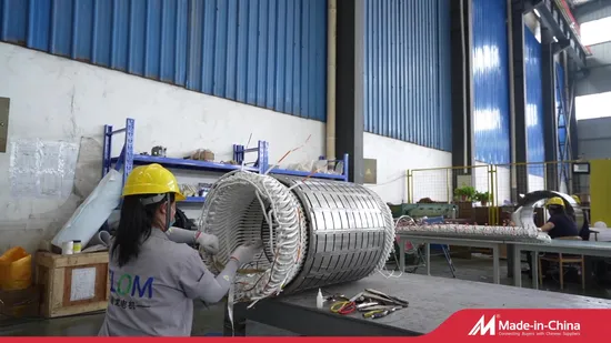 Asynchronous Three Phase Electric High Voltage Motor for Cement Plant