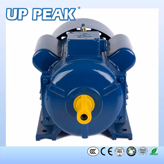 Chinois unique triphasé 1.5kw 2HP 5.5kw 132m 132sb 160m Condensateur Start Run AC Asynchrone Induction Électrique Moteur Électrique Fabricant Fournisseur Usine