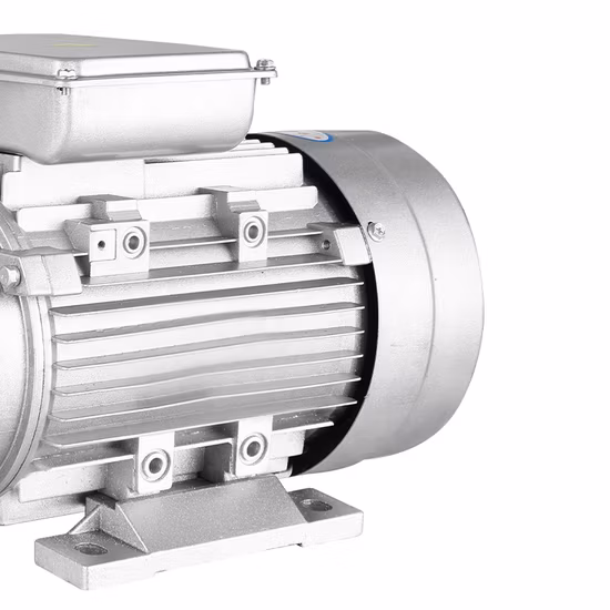Pompe à eau Machine 110V 220V AC Moteur universel par moteur monophasé Moteur asynchrone